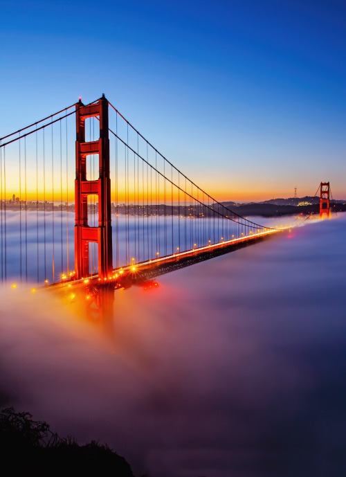 الامريكيتان